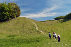 Walking in E Sussex, May 2019