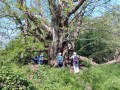 May '19. E Sussex week