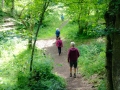 090619Bradfielda