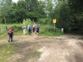 26/6/2019 River Embourne, West Berks, 5 miles