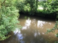 26/6/2019 River Embourne, West Berks, 5 miles
