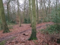 Rotherfield Greys