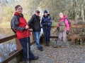 25/11/18. Sonning on Thames 8 miles,