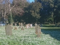 24/02/19. Snowdrops at Swyncombe Church.