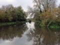 3/11/19. R Kennet, nr, Theale. 4  miles.
