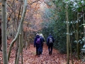 17/11/19. Henley. 6 miles.