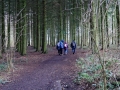 07/12/19. Sulham Woods. 2.5 miles.
