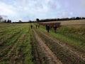20/12/2015 Streatley, Aldworth and the Holies