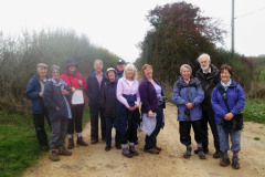 Winter Walks 2014-2015