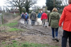 Winter Walks 2016 -2017