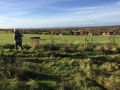13-11-2016 Swyncombe and Ewelme