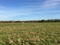 13-11-2016 Swyncombe and Ewelme
