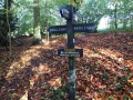 13-11-2016 Swyncombe and Ewelme