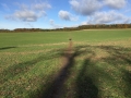13-11-2016 Swyncombe and Ewelme