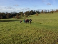 13-11-2016 Swyncombe and Ewelme