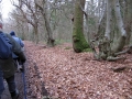 14/01/17 Kingswood nr Peppard